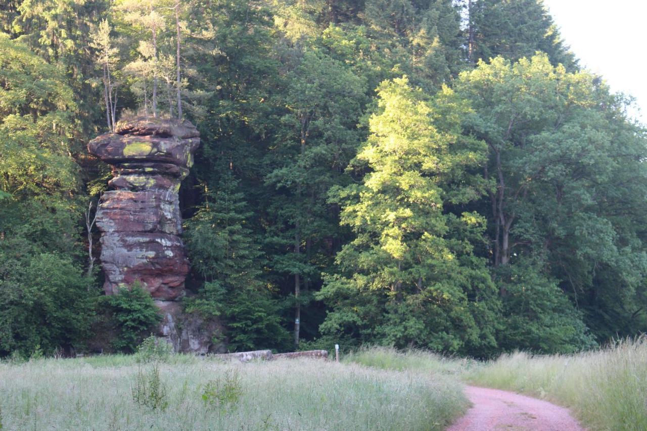 Gaestehaus Herrenmuehle Freudenburg  Exteriör bild
